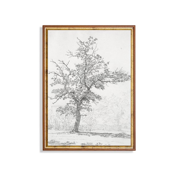 Vintage Tree Sketch Drawing, Neutral Farmhouse Art Print
