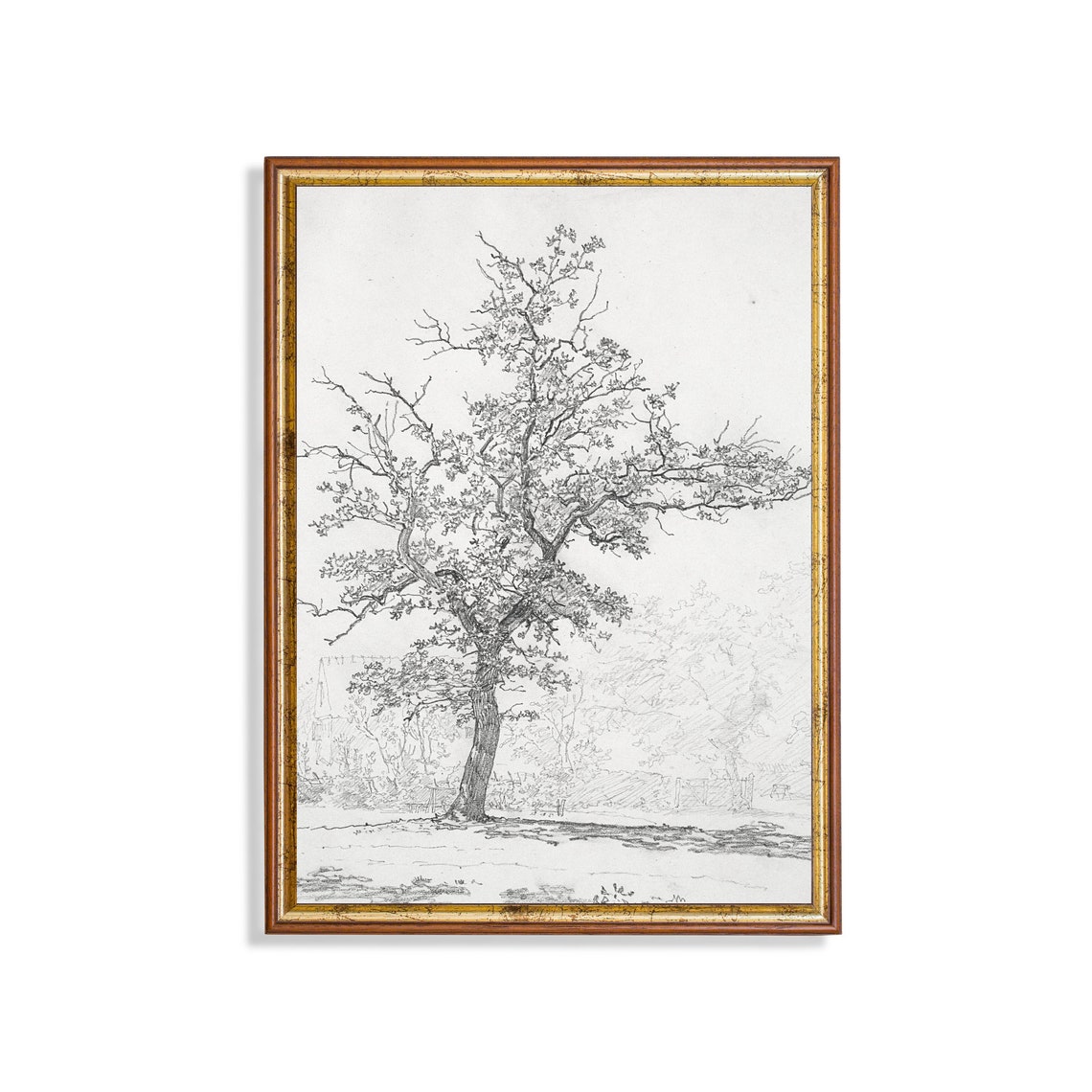 Lone Tree Detailed Pencil Sketch Vintage Nature Drawing Poster
