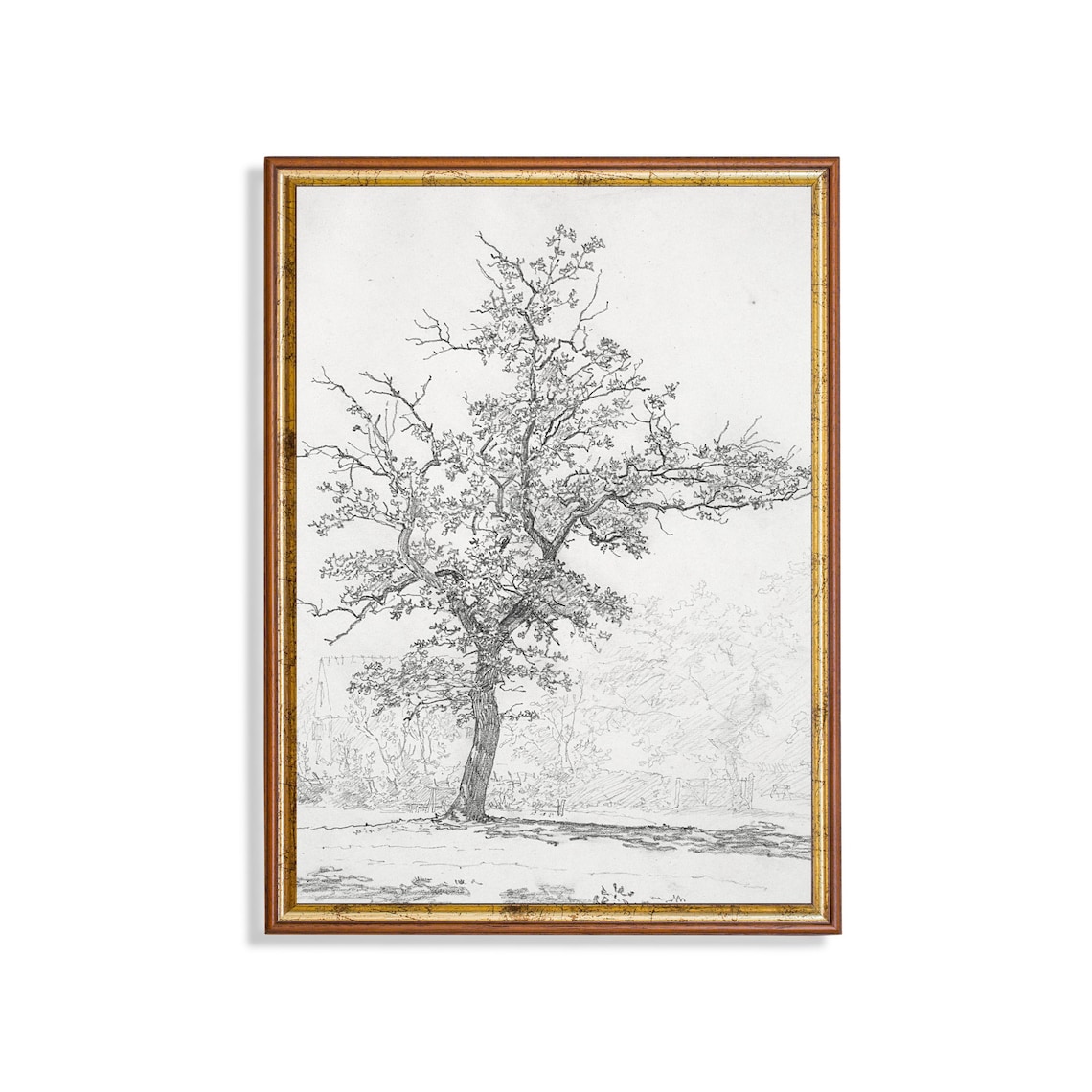 Vintage Tree Sketch Drawing, Neutral Farmhouse Art Print