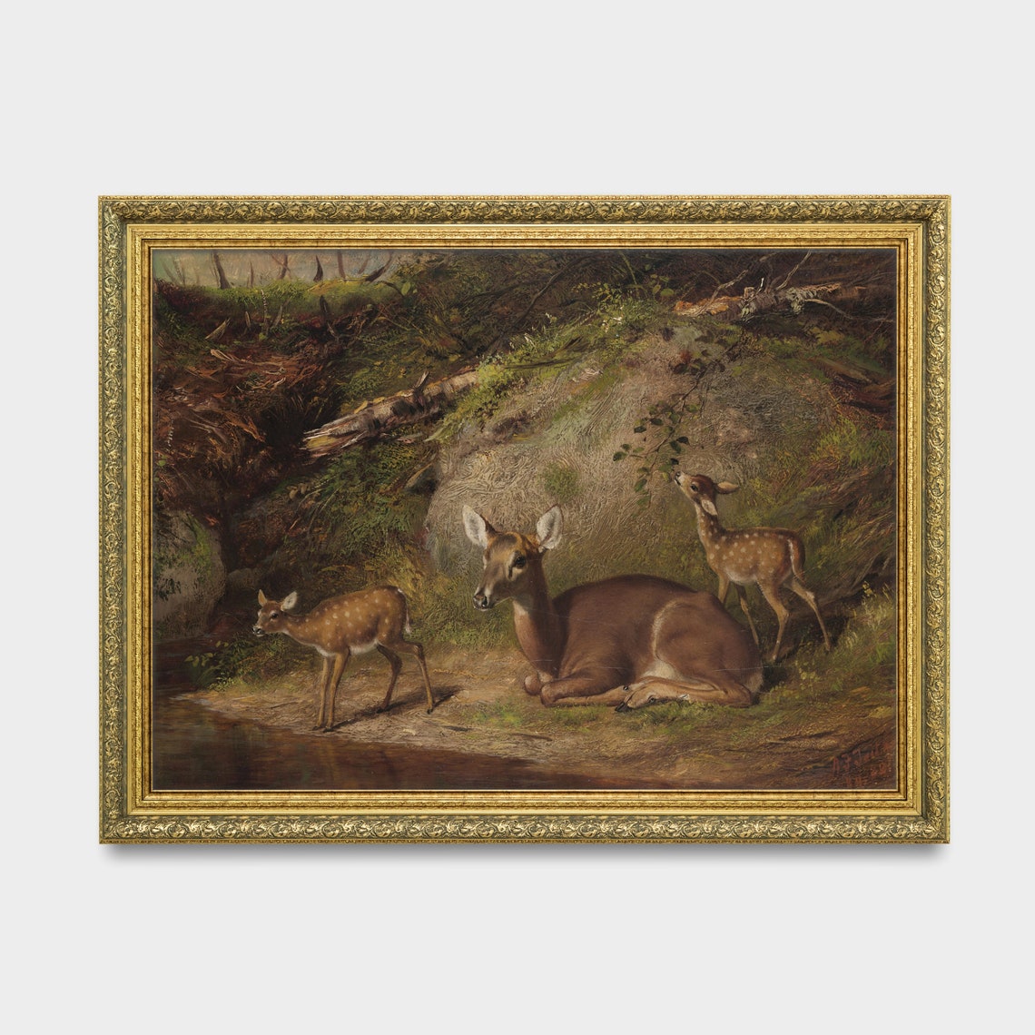 Doe With Two Spotted Fawns By A Forest Stream Vintage Wildlife Poster - Image 3