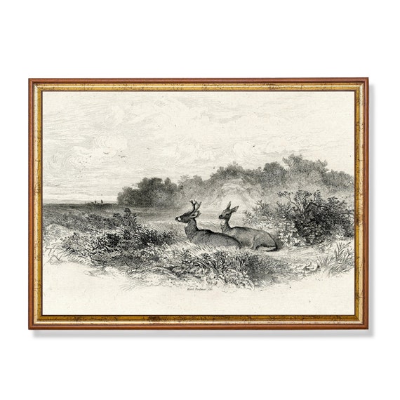Vintage Deer Sketch, Neutral Farmhouse Art Print