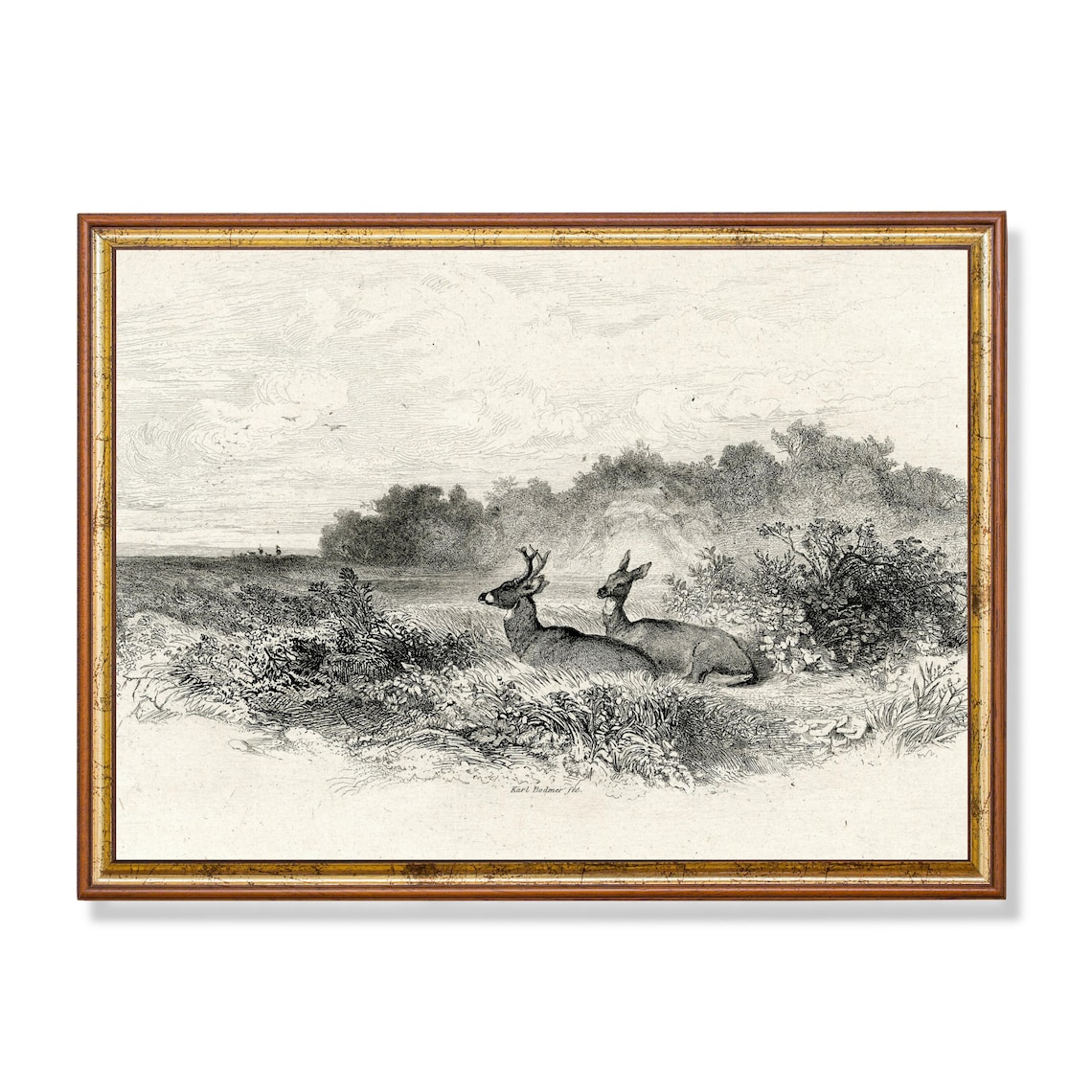 Vintage Deer Sketch, Neutral Farmhouse Art Print