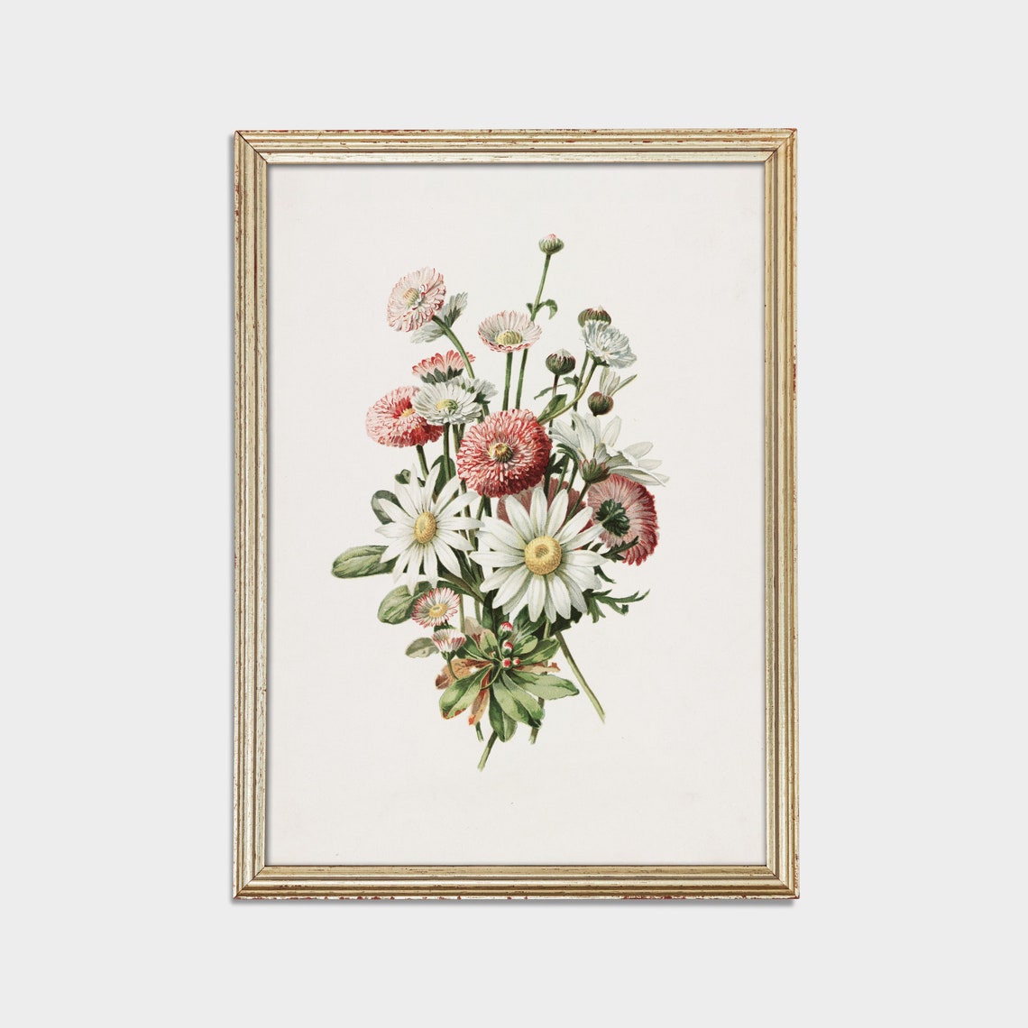 White Daisies And Pink Pompons Vintage Botanical Bouquet Floral Poster - Image 3