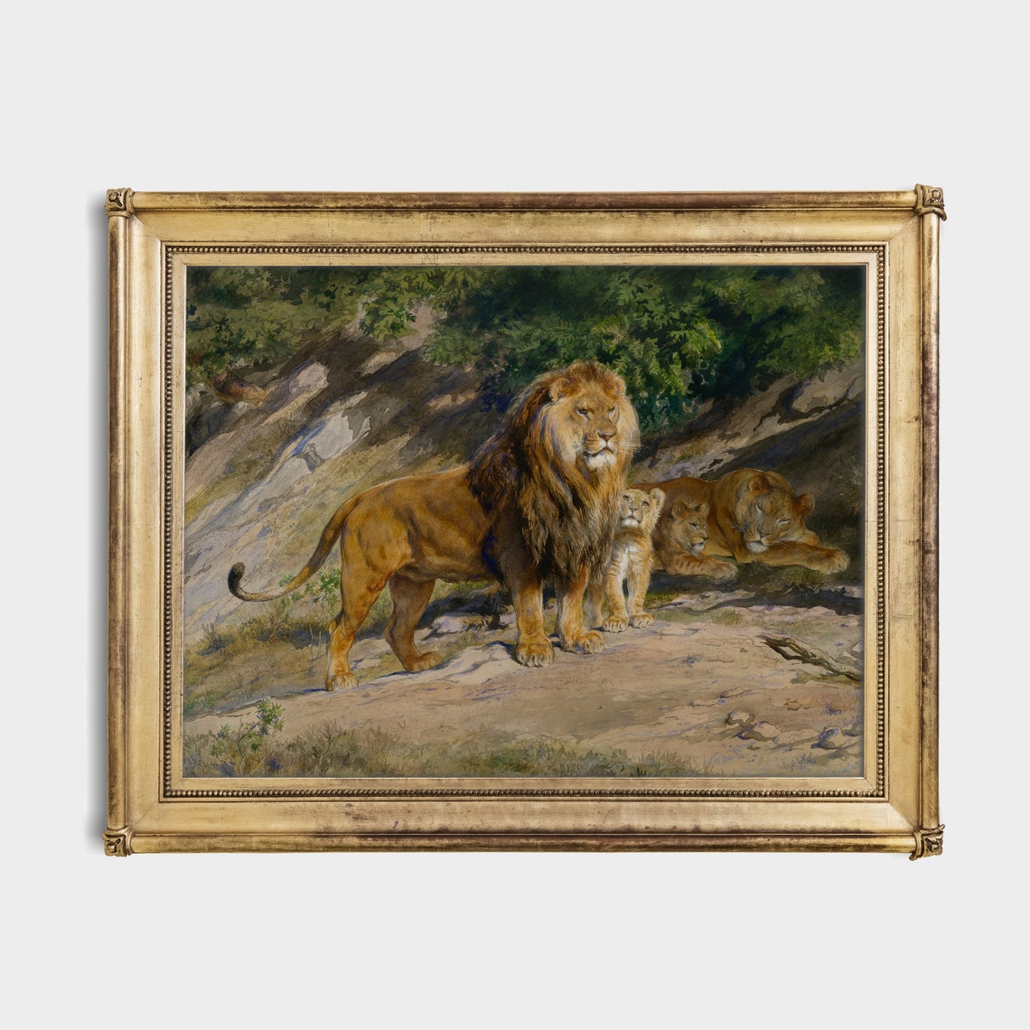 Lion Family with a Cub in the Wild Vintage Big Cat Art Poster - Image 2