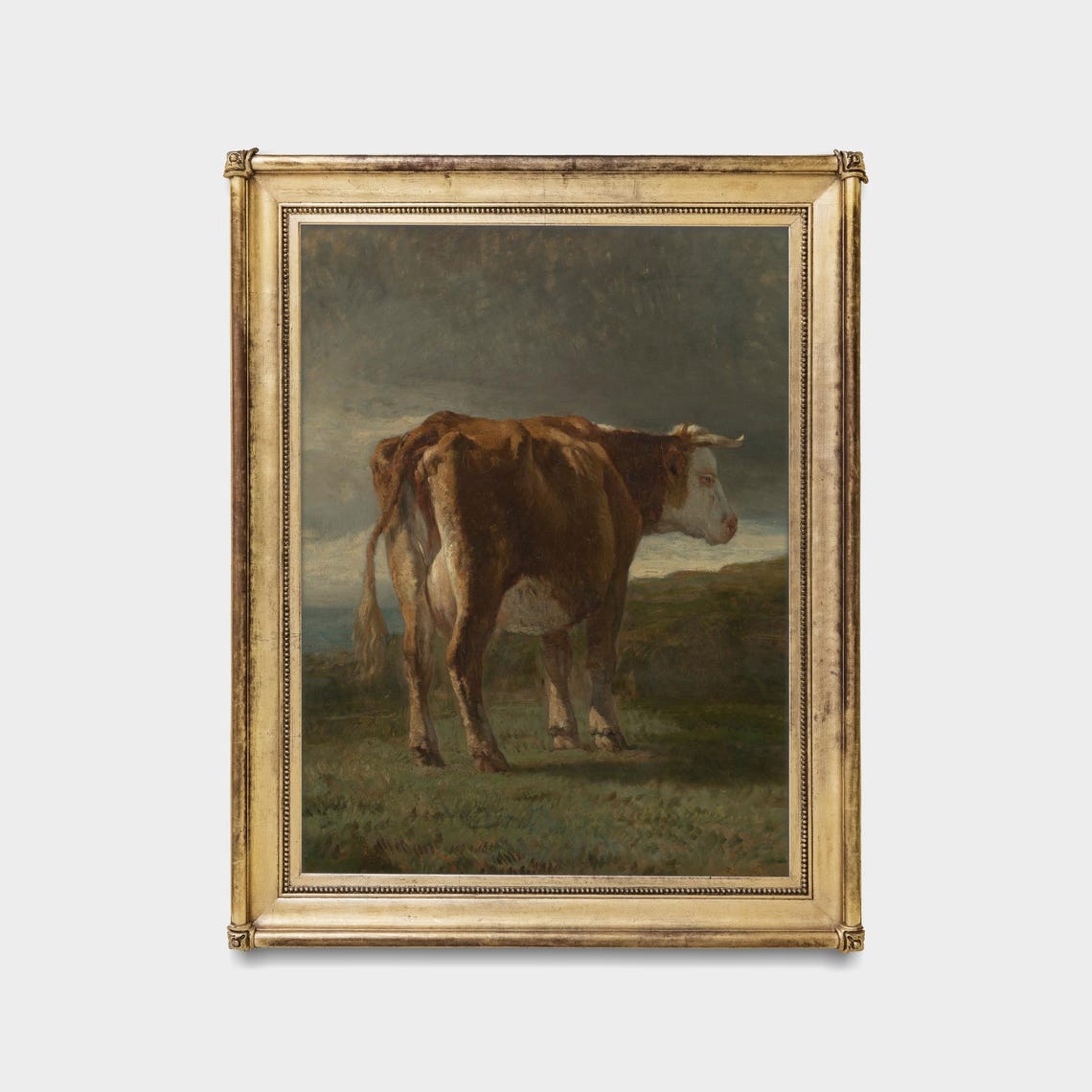 Brown and White Cow Standing in a Field Vintage Animal Poster - Image 5