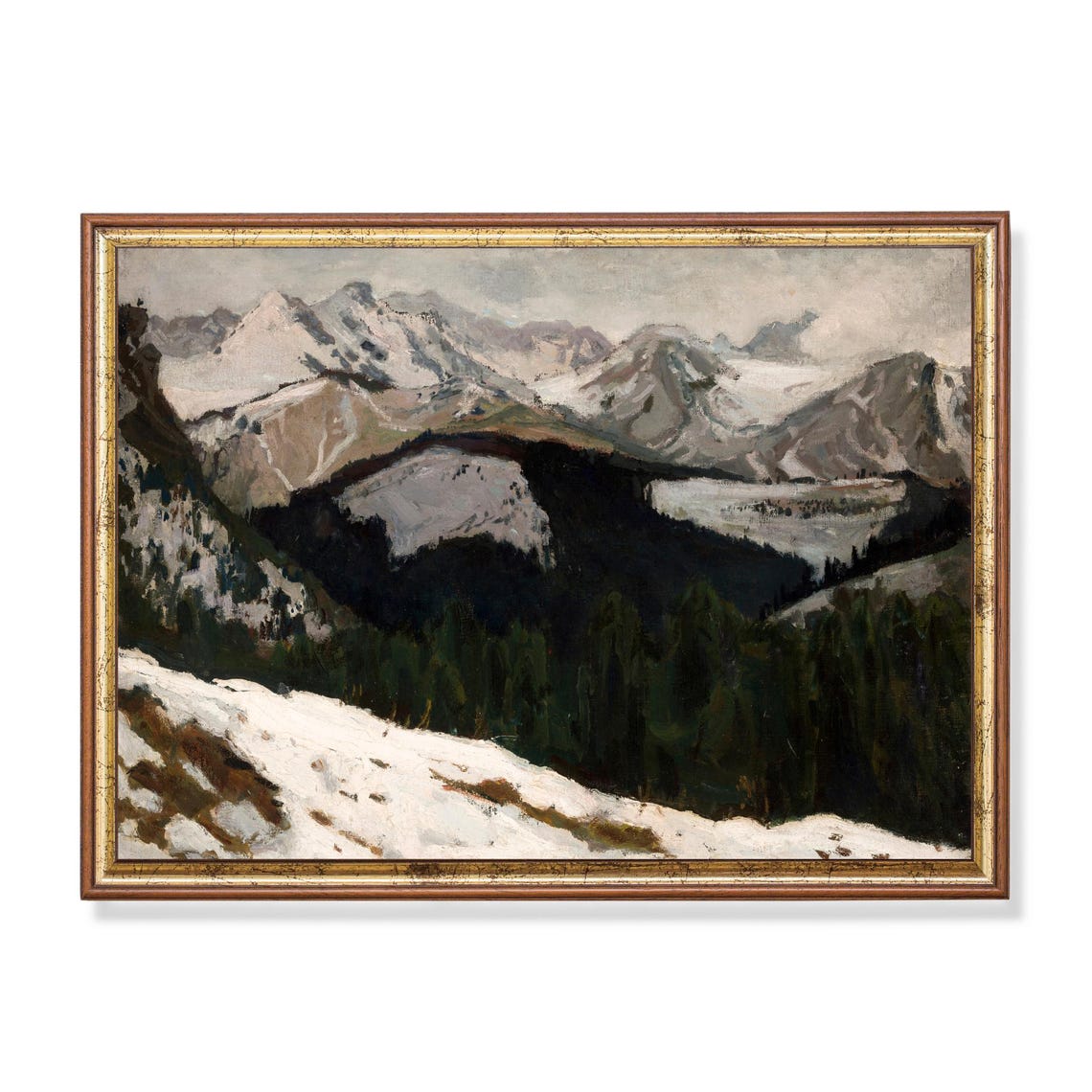 Alpine Panorama with Snow-Capped Peaks and Dark Valley Poster
