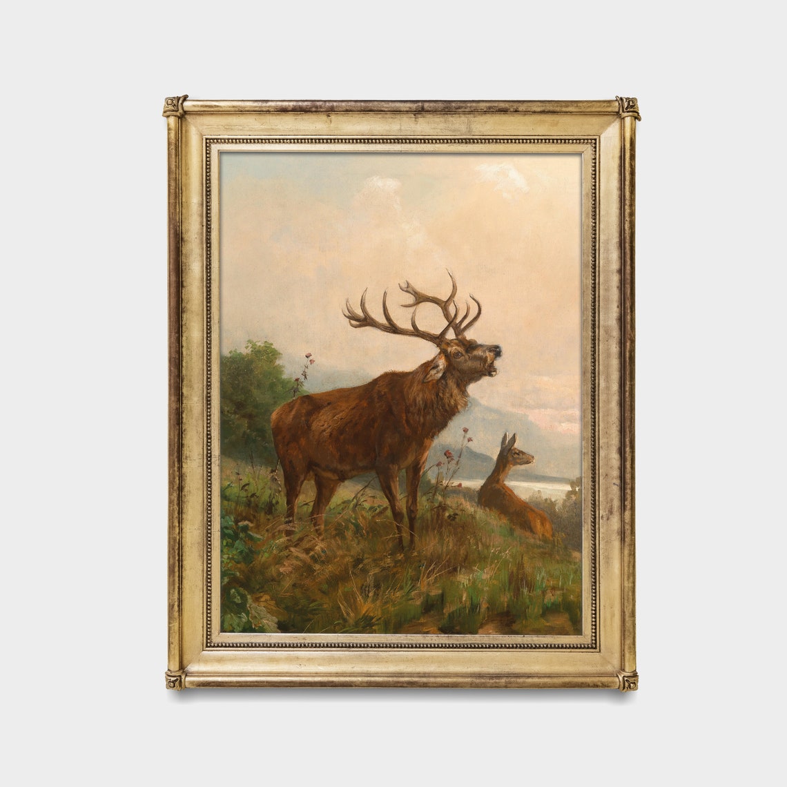 Bellowing Red Deer Stag with Hind Vintage Wildlife Art Poster - Image 3