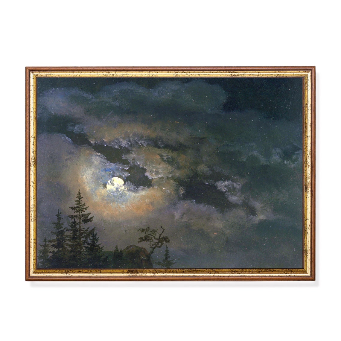 Dark Moonlit Night Sky Over Pine Trees With Full Moon Poster