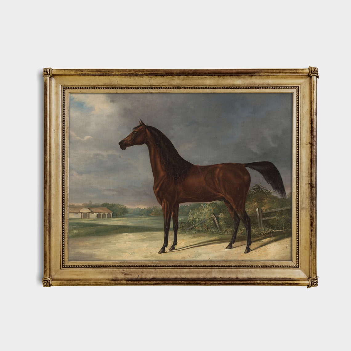 Dark Bay Stallion by the Stable Yard Vintage Horse Portrait Poster - Image 4