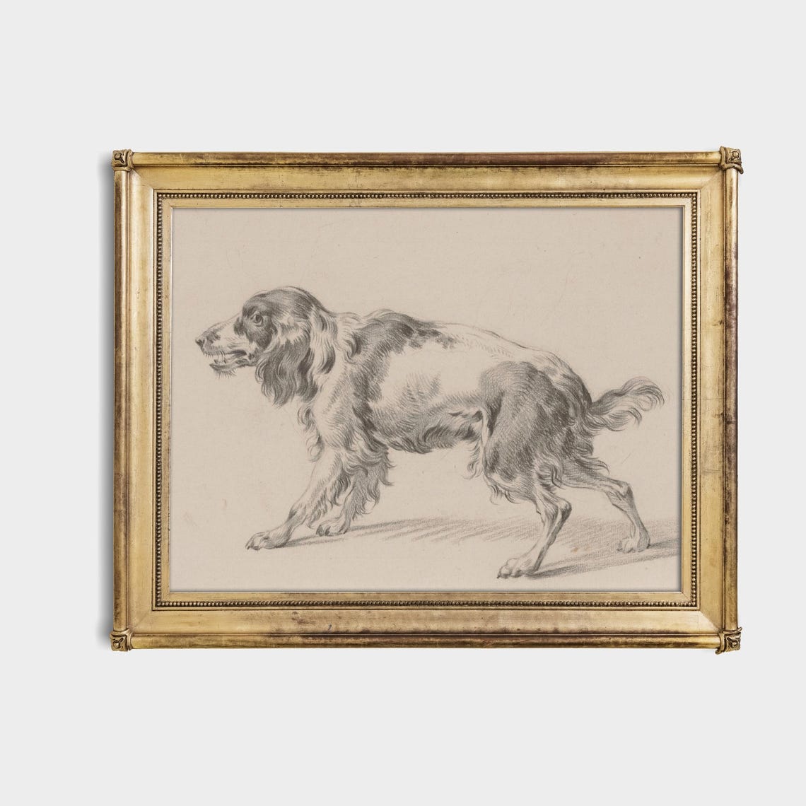 Walking Spaniel Dog in Profile Vintage Graphite Sketch Poster - Image 4