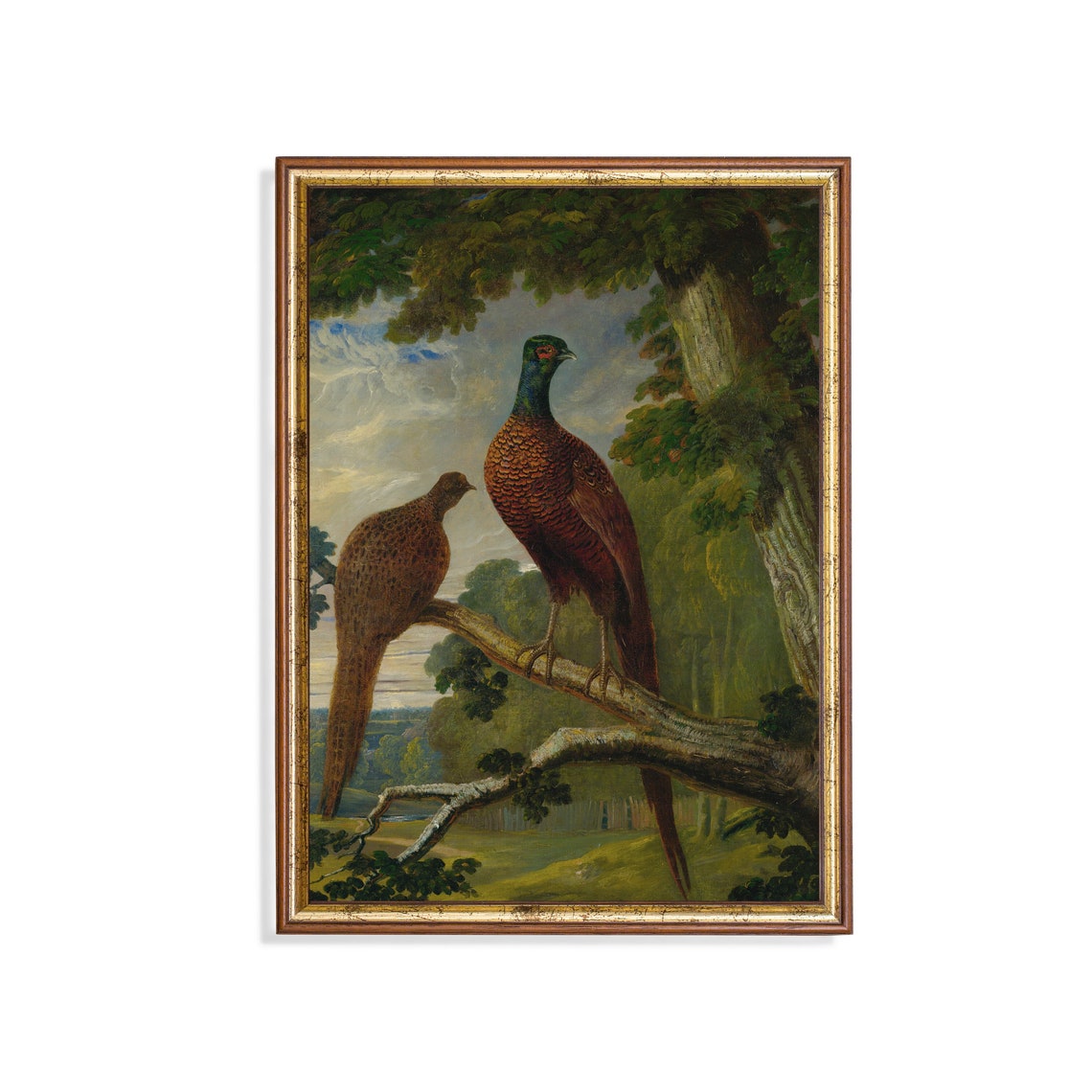 Pair of Pheasants Perched on a Tree Branch Vintage Game Bird Poster