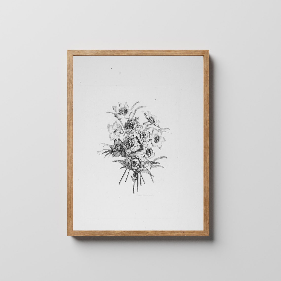 Daffodil Bouquet Pencil Sketch Monochrome Vintage Botanical Poster - Image 2