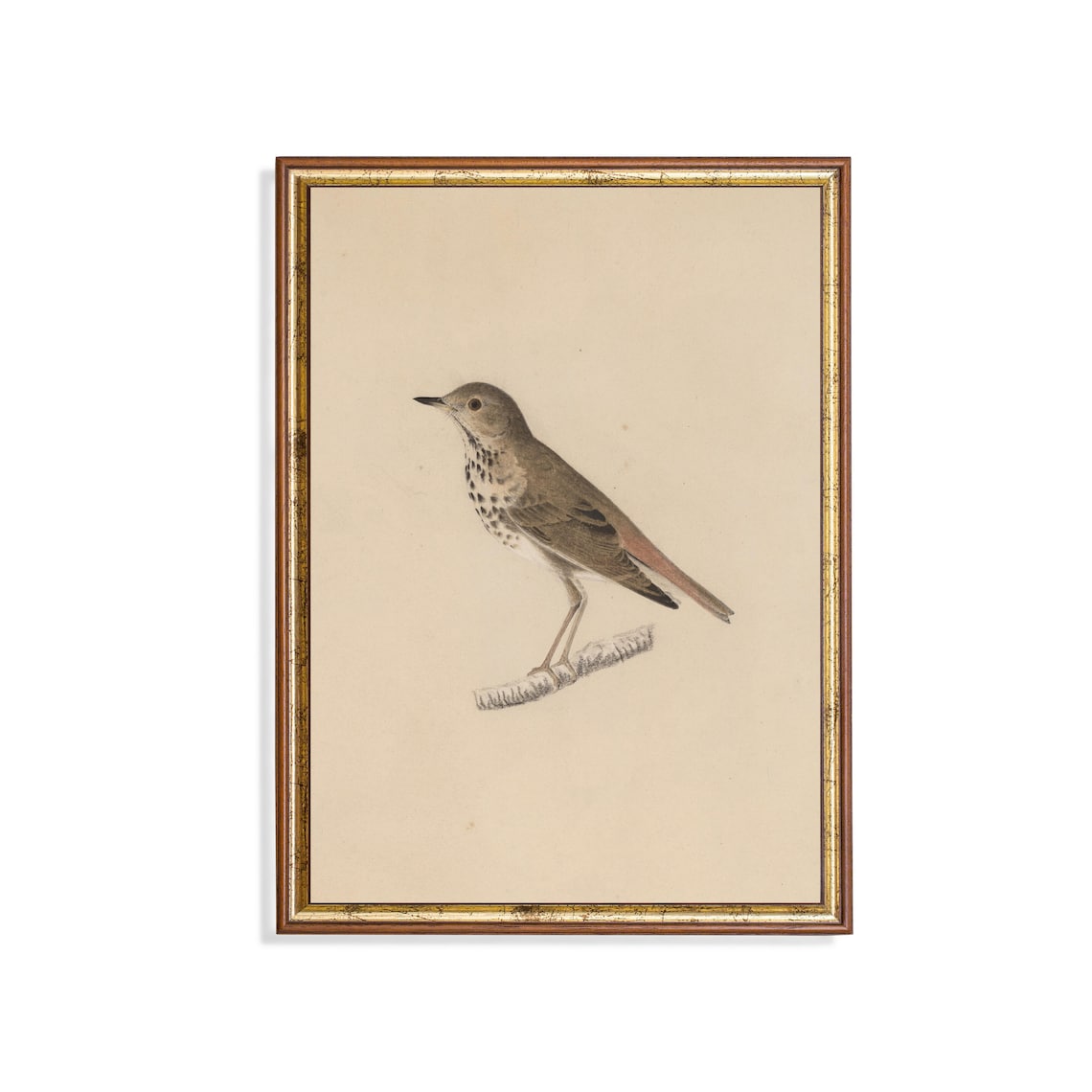 Vintage Bird Sketch Antique Drawing Art Print, Farmhouse