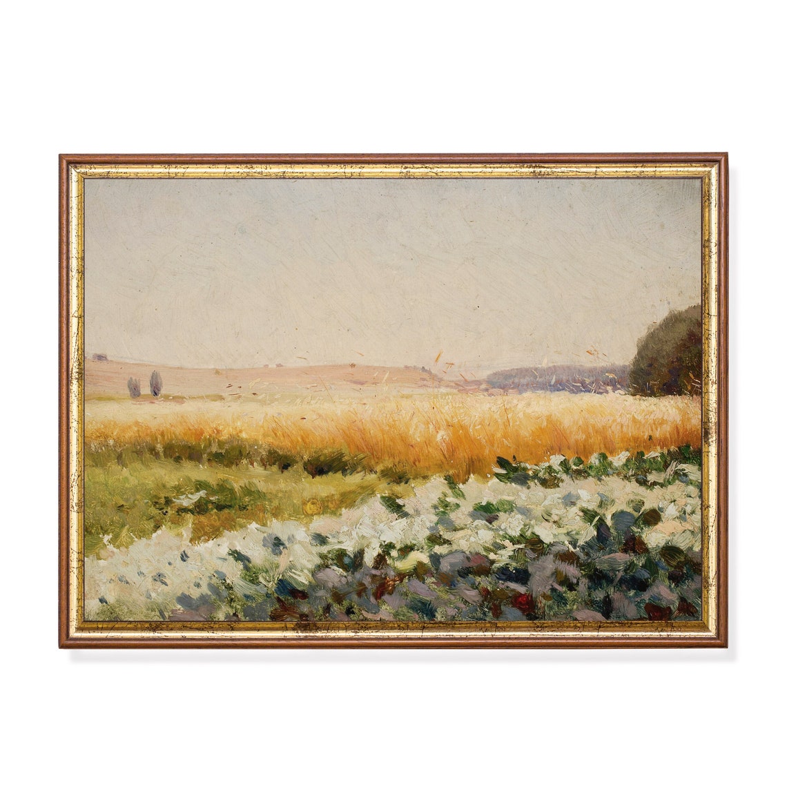 Golden Wheat Field at Sunset With Wildflowers Landscape Poster