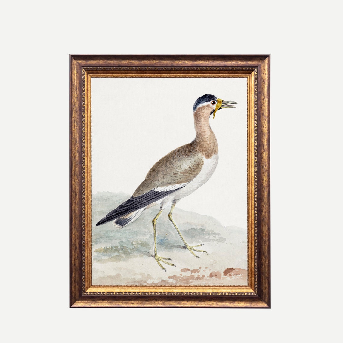 Yellow-Legged Wading Bird Antique Natural History Watercolor Poster - Image 2