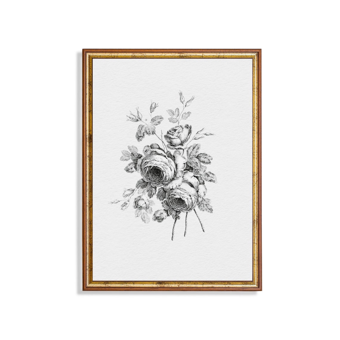 Antique Rose Bouquet Botanical Sketch Black and White Floral Poster