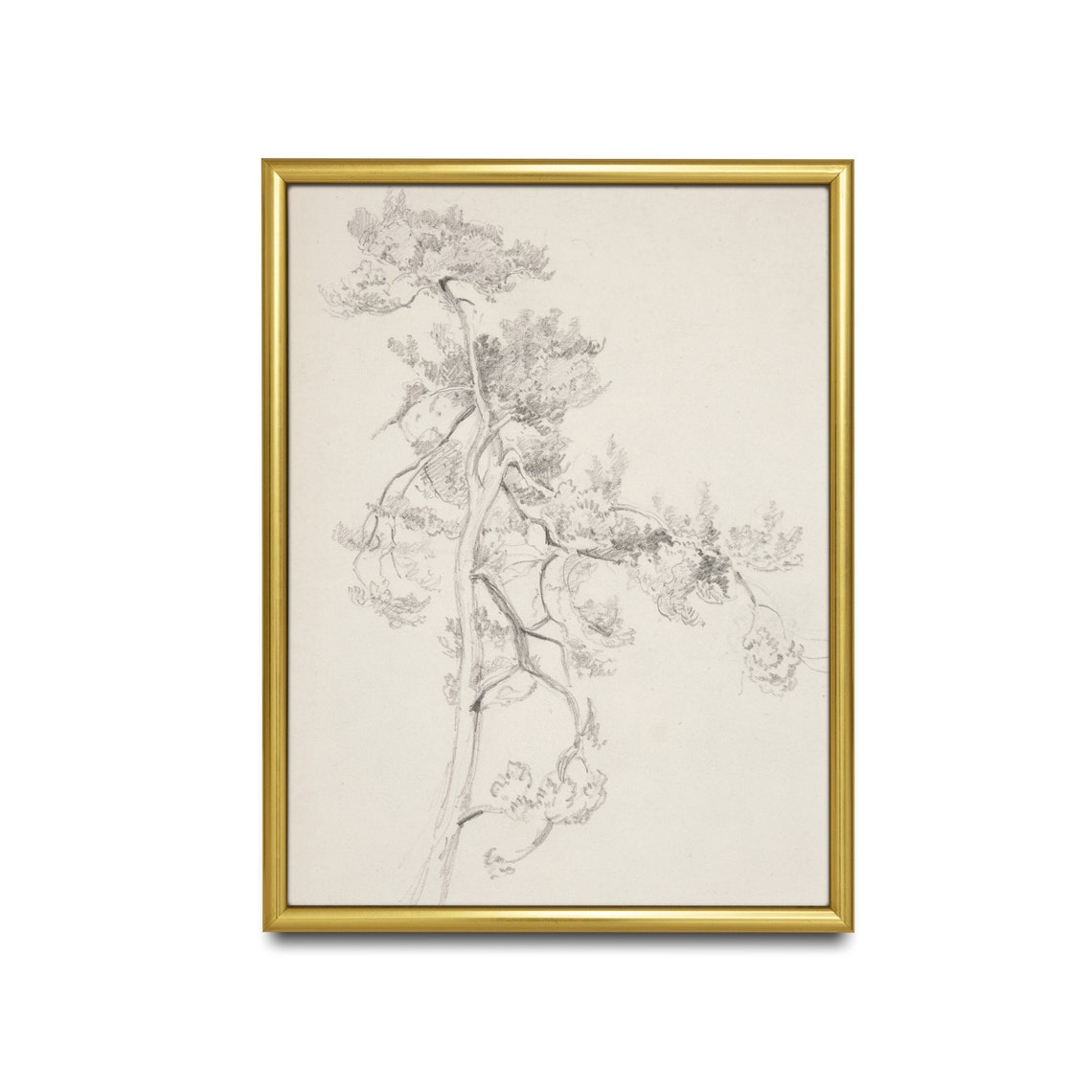 Pine Branch Botanical Pencil Sketch Minimalist Tree Art Poster - Image 2