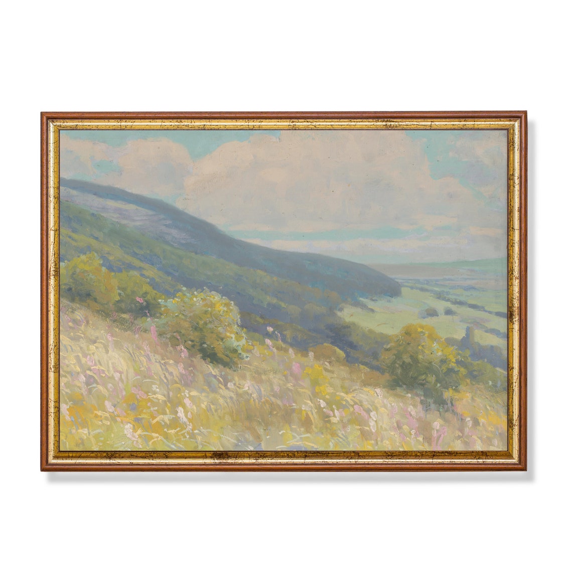 Wildflower Hillside Overlooking Valley Vintage Spring Landscape Poster