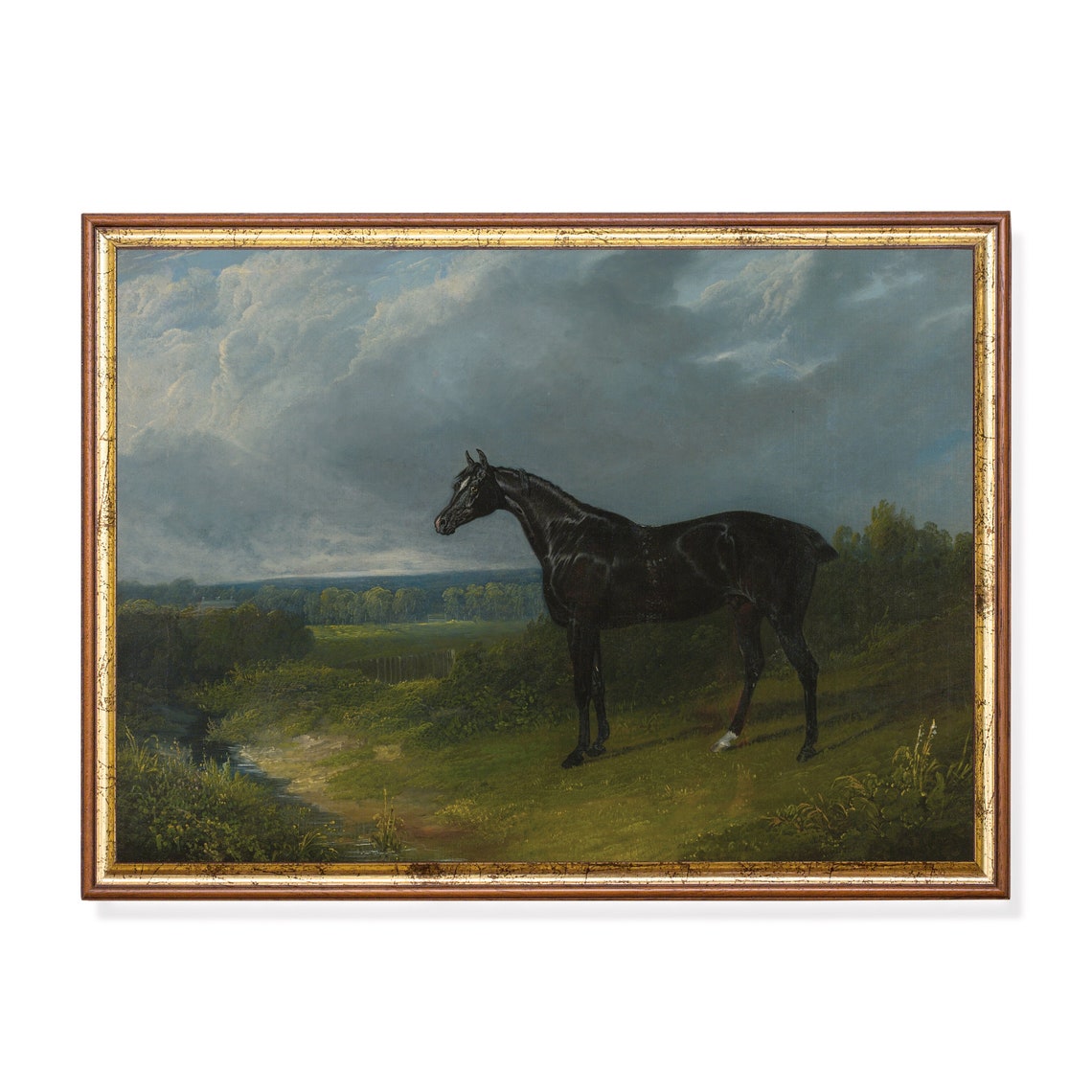Black Horse in Stormy Landscape Moody Vintage Equestrian Art Poster