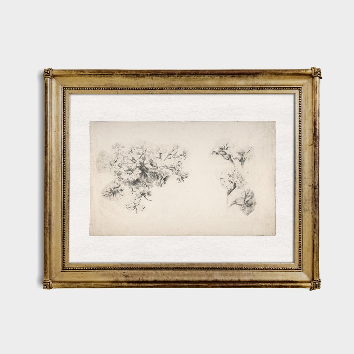 Pencil Floral Sketch Study Antique Botanical Drawing Art Poster - Image 4