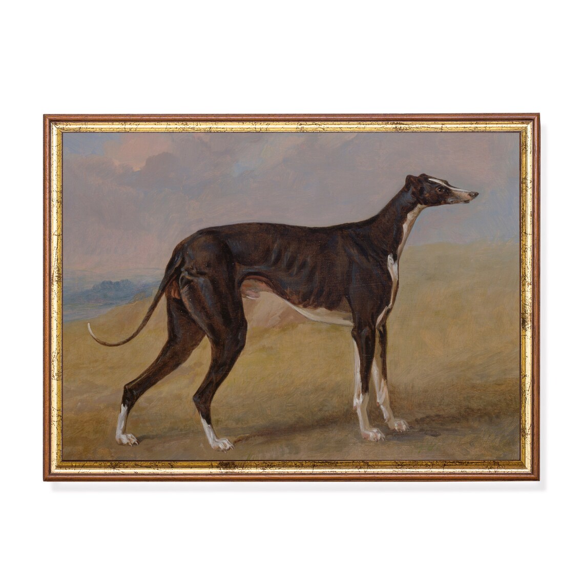 Vintage Greyhound Art Print, Rustic Farmhouse Decor