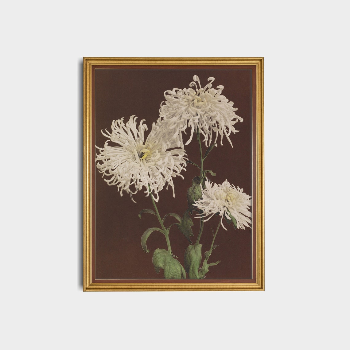 White Spider Chrysanthemums on Dark Vintage Floral Still Life Poster - Image 3