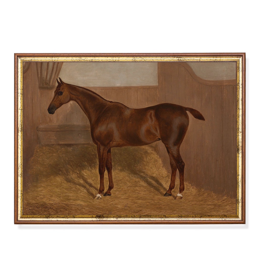 Chestnut Horse Portrait Standing in Straw Stable Painting Poster