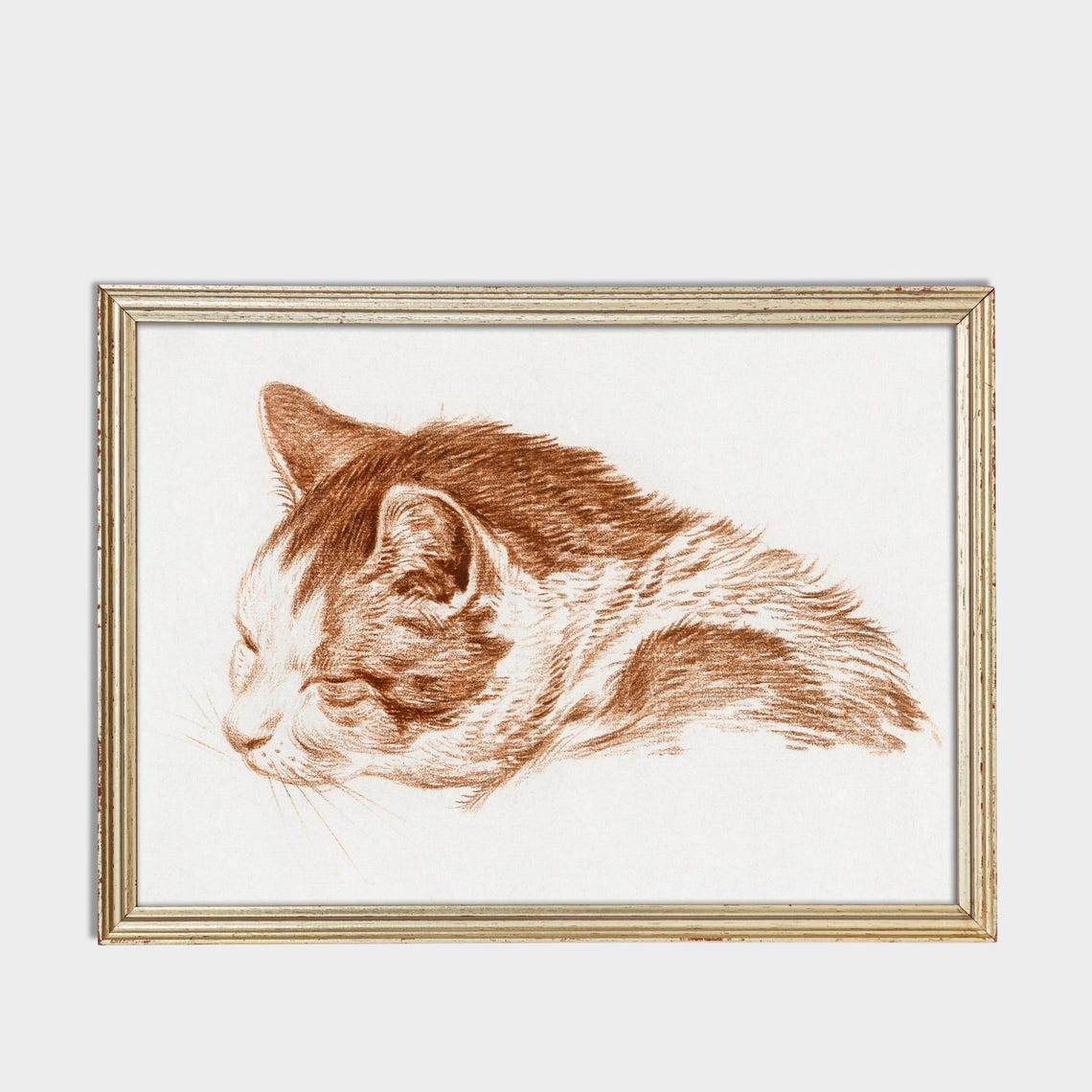 Sleeping Cat Head Study in Warm Red Chalk Vintage Sketch Poster - Image 3