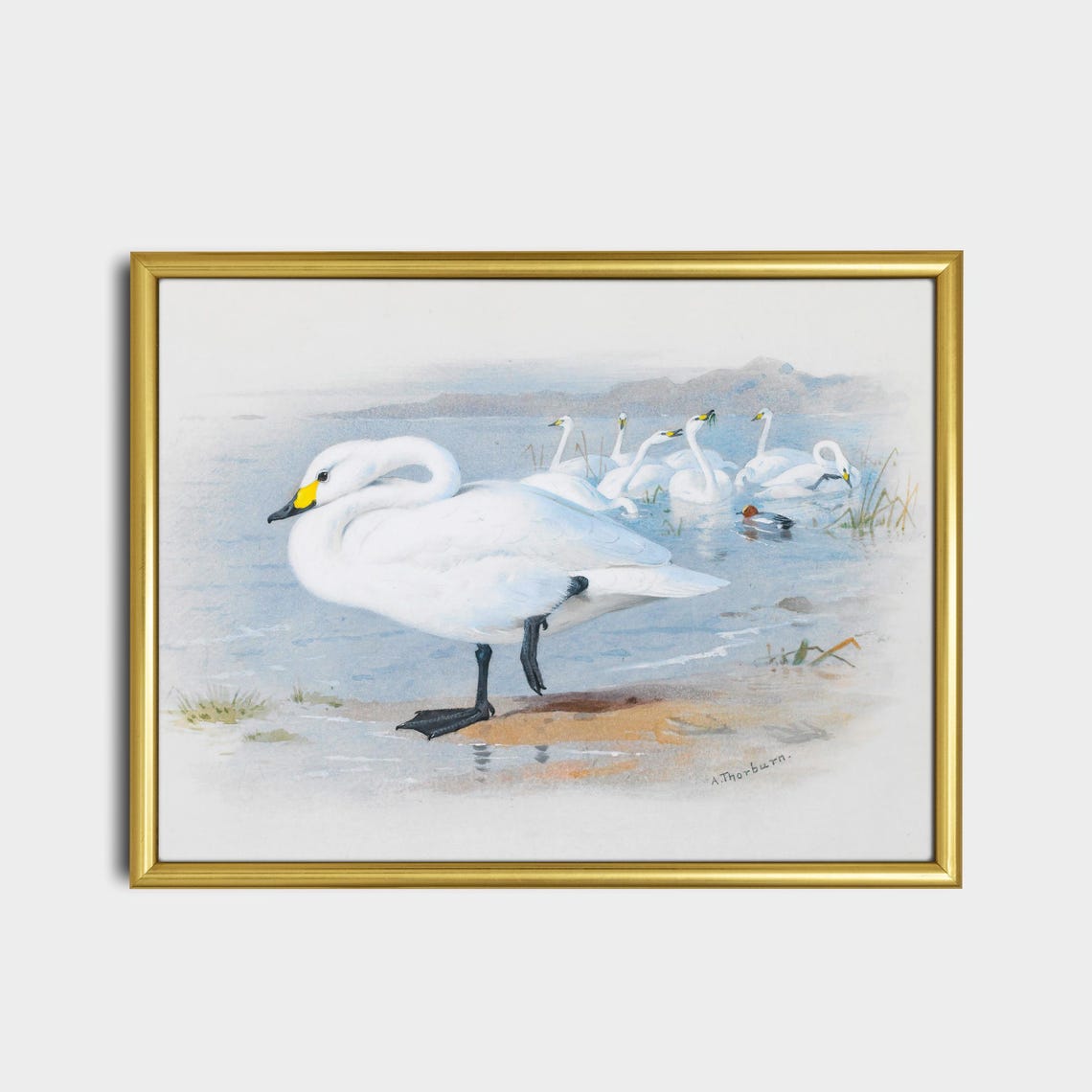 Graceful White Swans at a Misty Lakeshore Vintage Bird Poster - Image 2