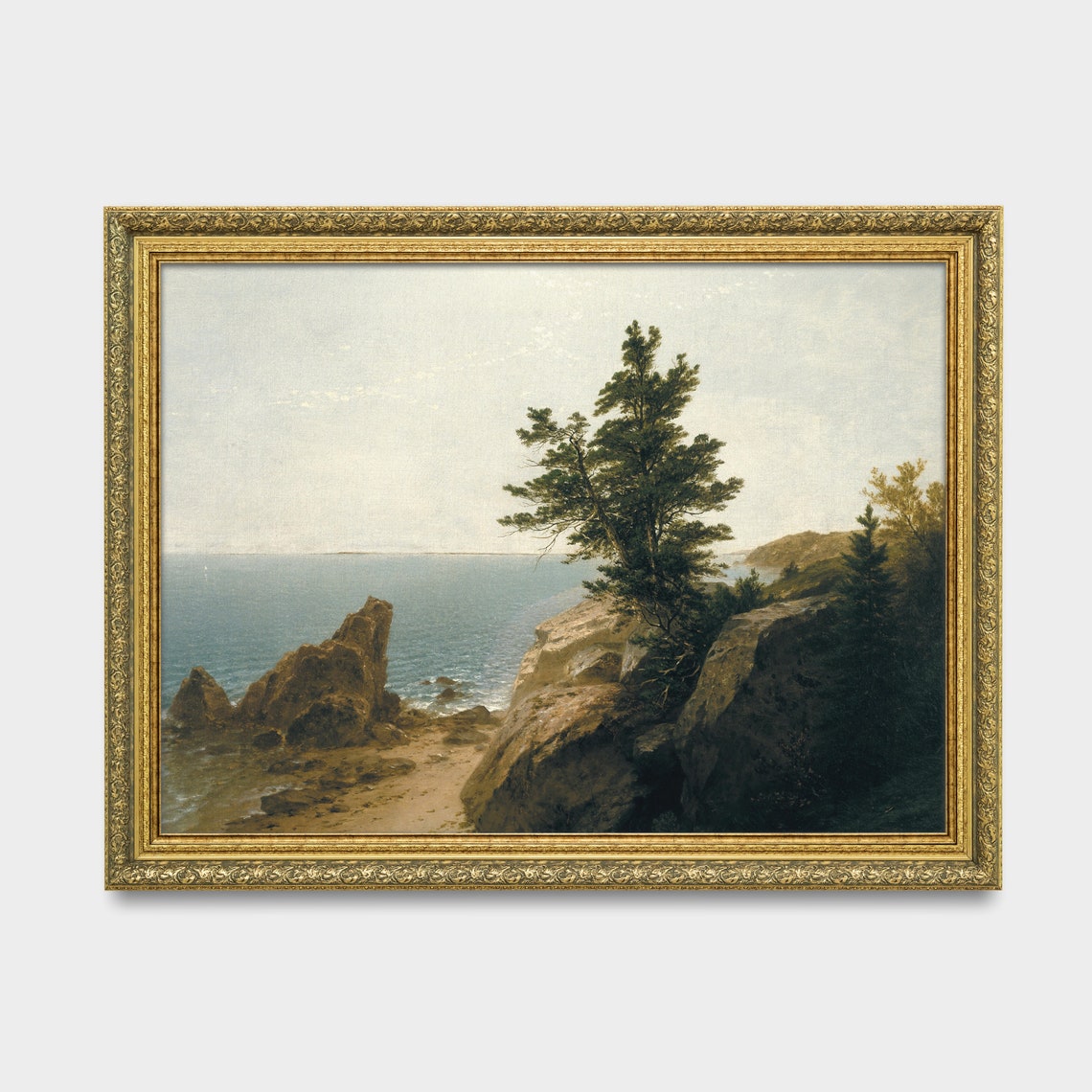 Rocky Coastal Cliff with a Tall Pine Tree Overlooking the Sea Poster - Image 3