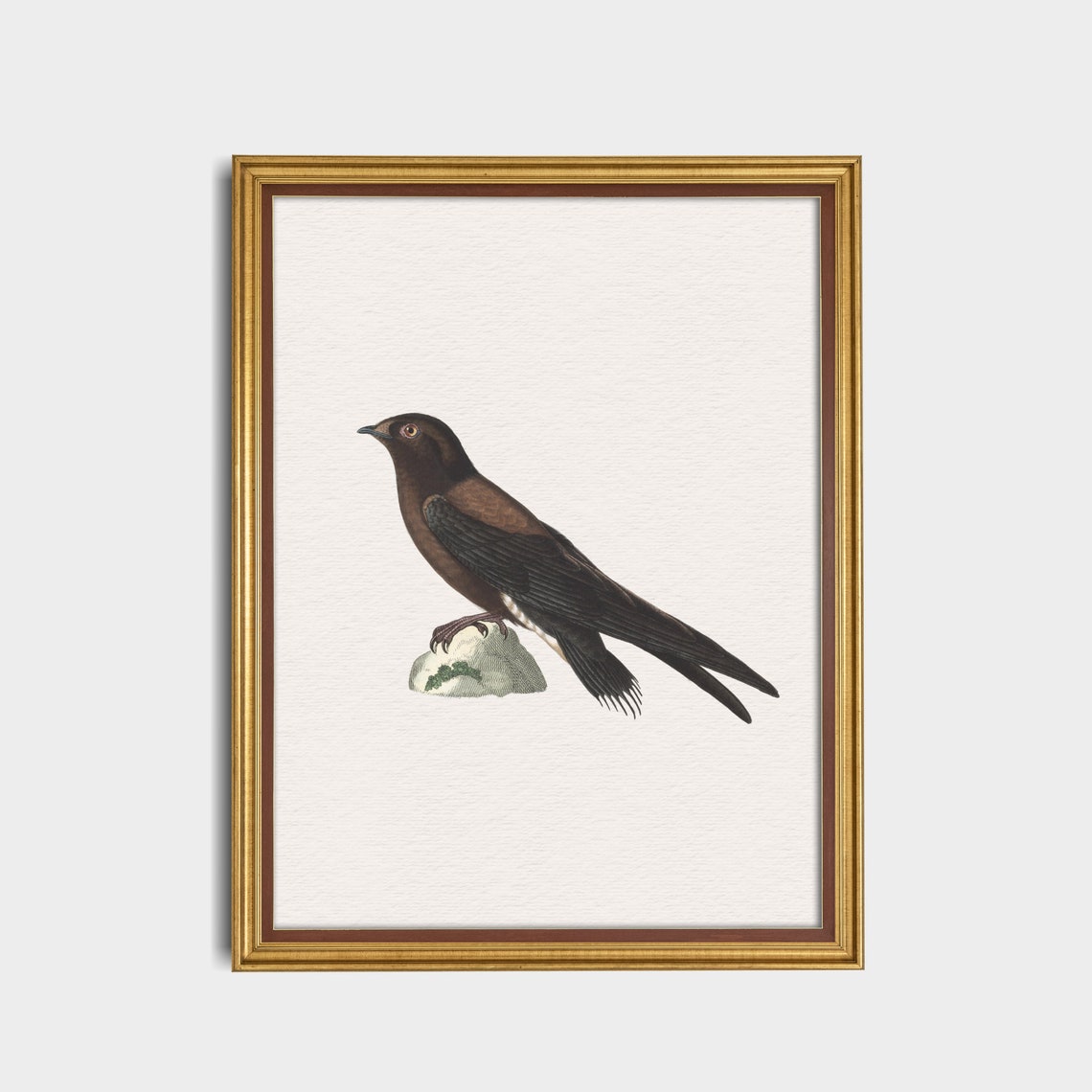 Dark Blackbird Perched on a Rock Vintage Bird Illustration Art Poster - Image 4