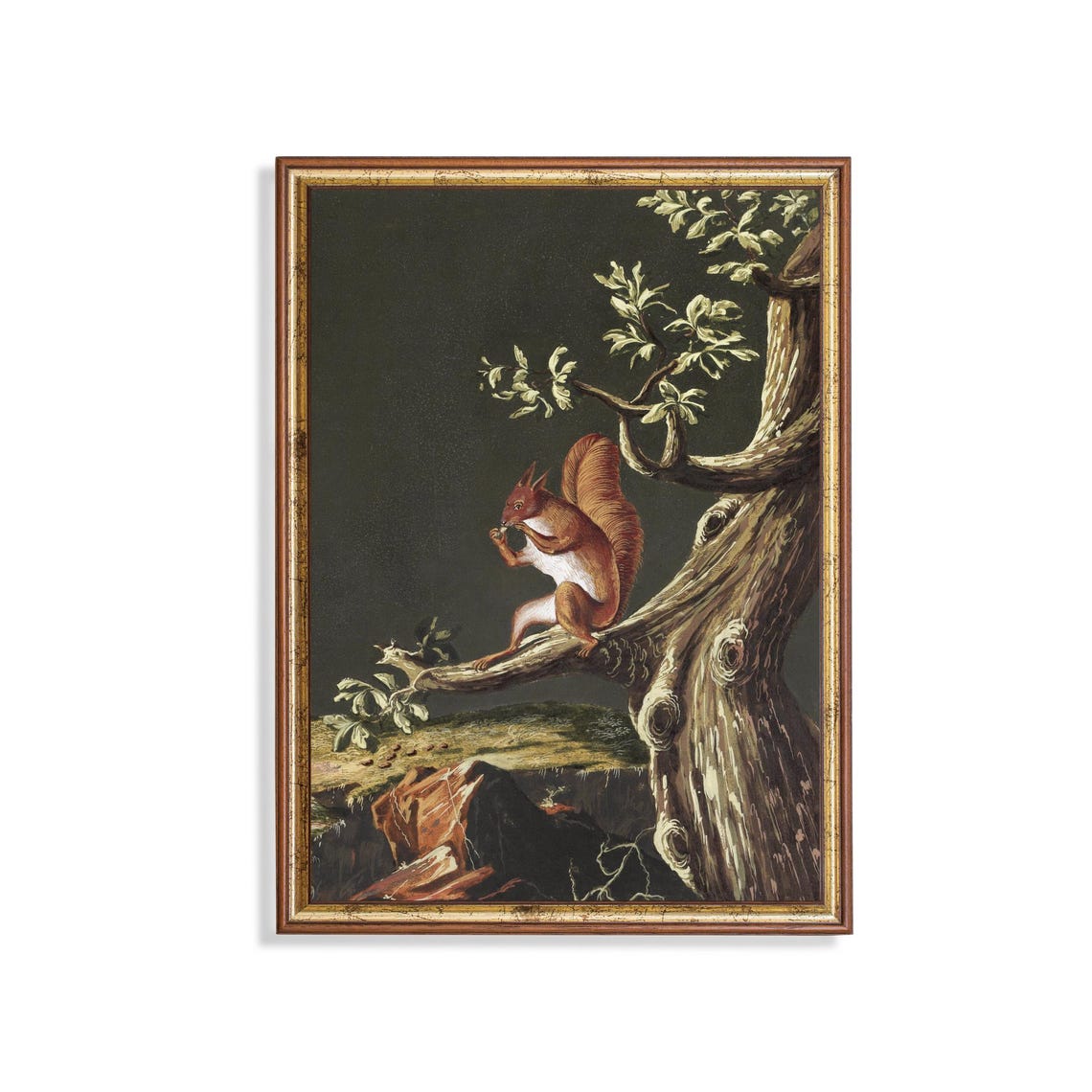 Red Squirrel on Gnarled Tree Branch Night Moody Wildlife Poster