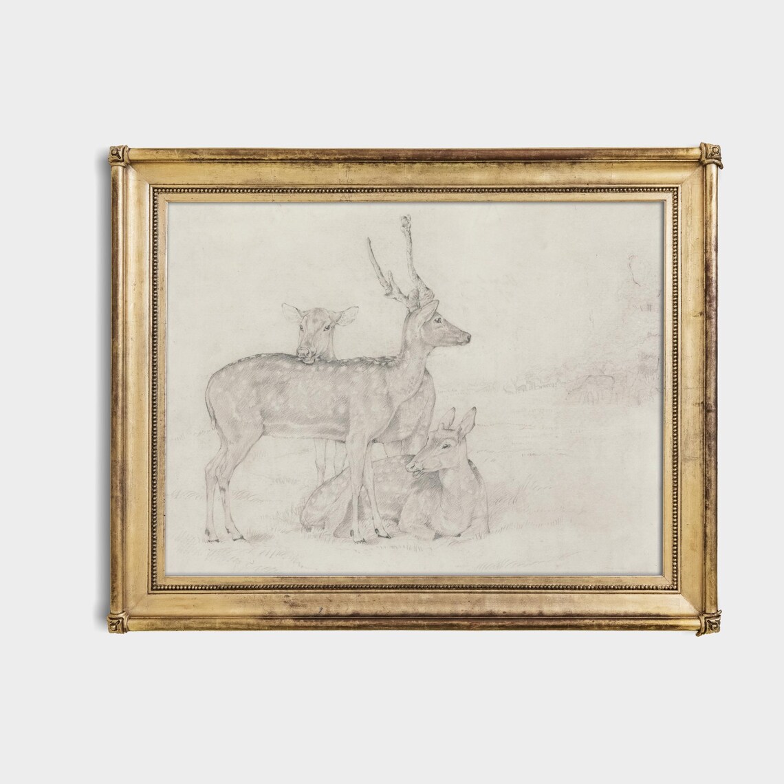 Vintage Deer Sketch Art Print, Farmhouse Decor - Image 4
