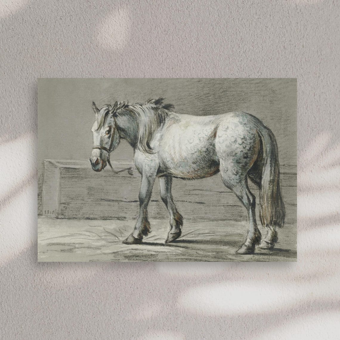 Antique Dapple Grey Horse Sketch Dated 1810 Equestrian Drawing Poster - Image 4