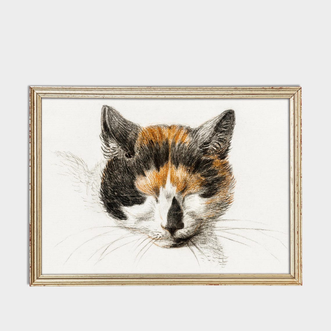 Calico Cat Face Close-Up Vintage Charcoal Drawing Art Poster - Image 3