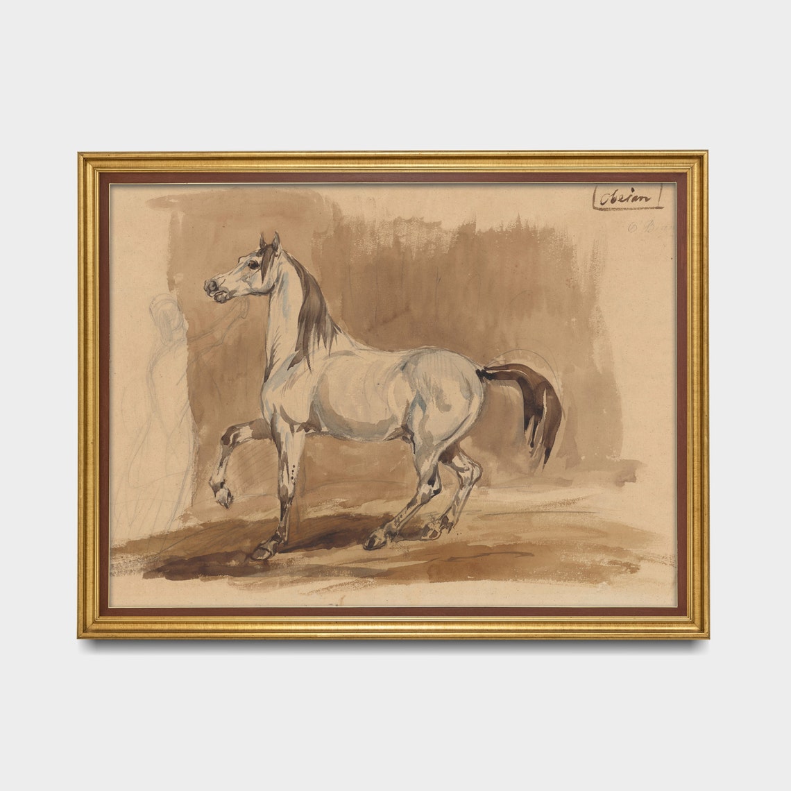 Grey Arabian Horse Prancing in Watercolor Study Equestrian Poster - Image 2