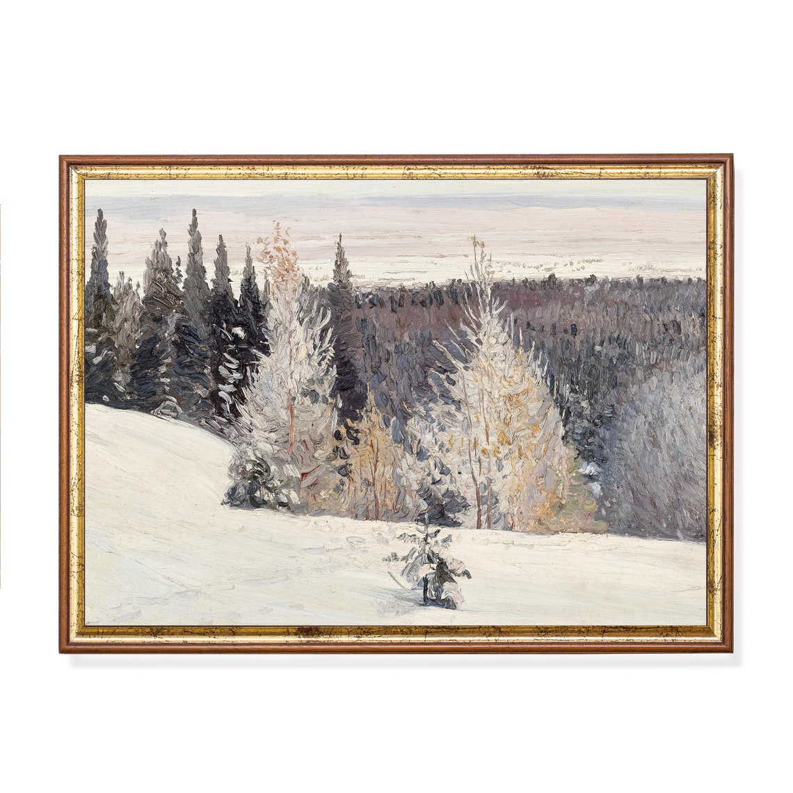 Frosted Pines Overlooking a Snow-Covered Valley Winter Poster