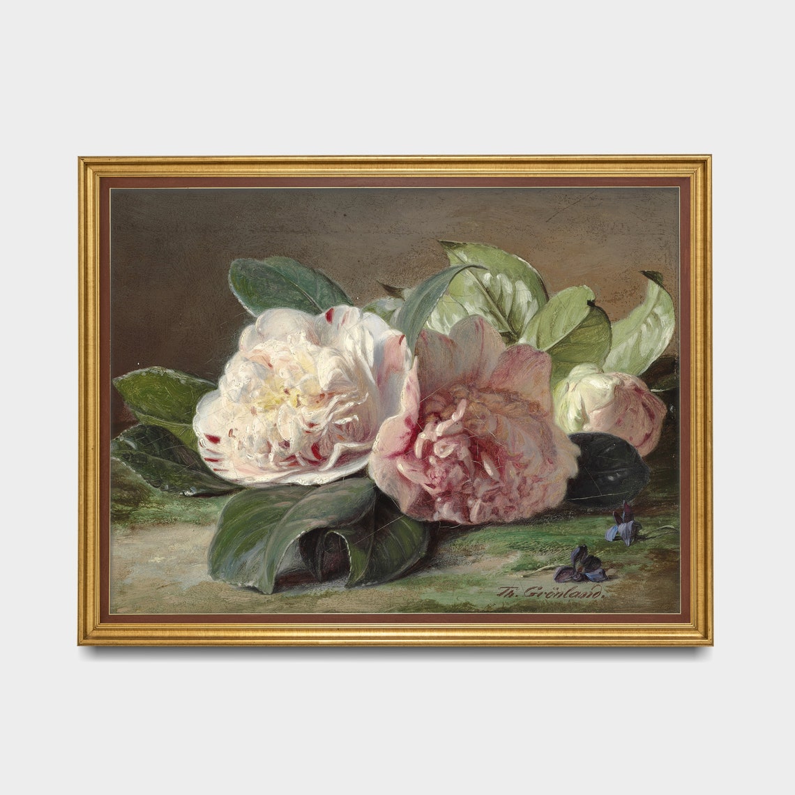 Pink Camellia Blossoms with Glossy Leaves Signed Still Life Poster - Image 4