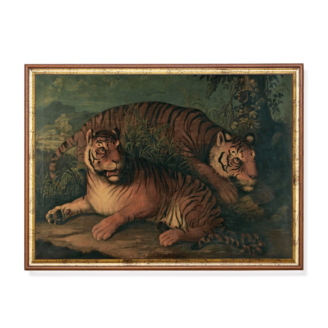 Two Tigers Resting Together in Dark Jungle Undergrowth Poster