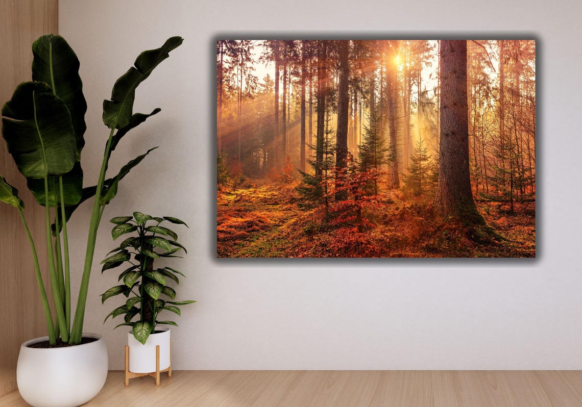 Autumn Woods Sun Rays Golden Forest Morning Light Nature Poster - Image 3