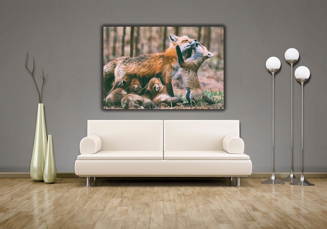 Red Fox Mother With Playful Kits Woodland Wildlife Photo Poster - Image 3