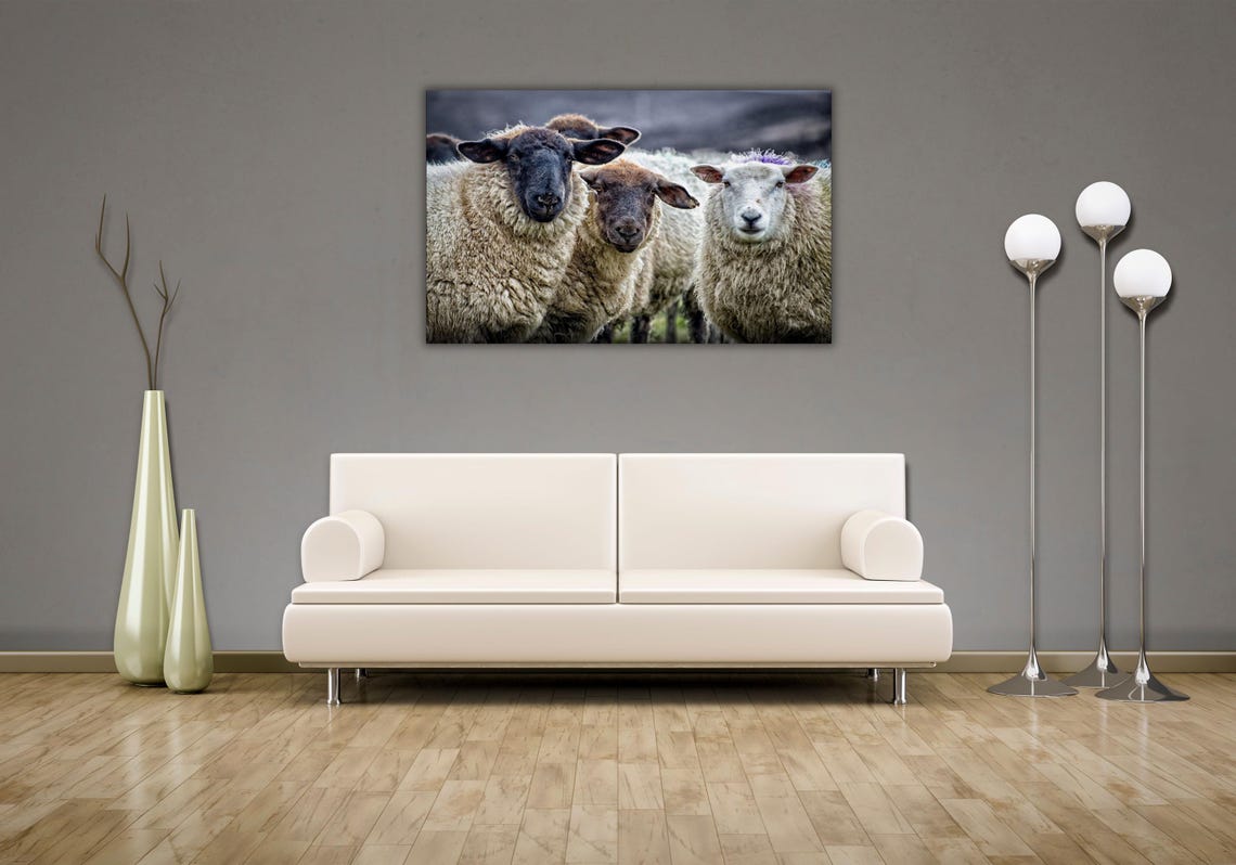 Curious Flock of Sheep Close Up Farm Animal Photography Poster - Image 2