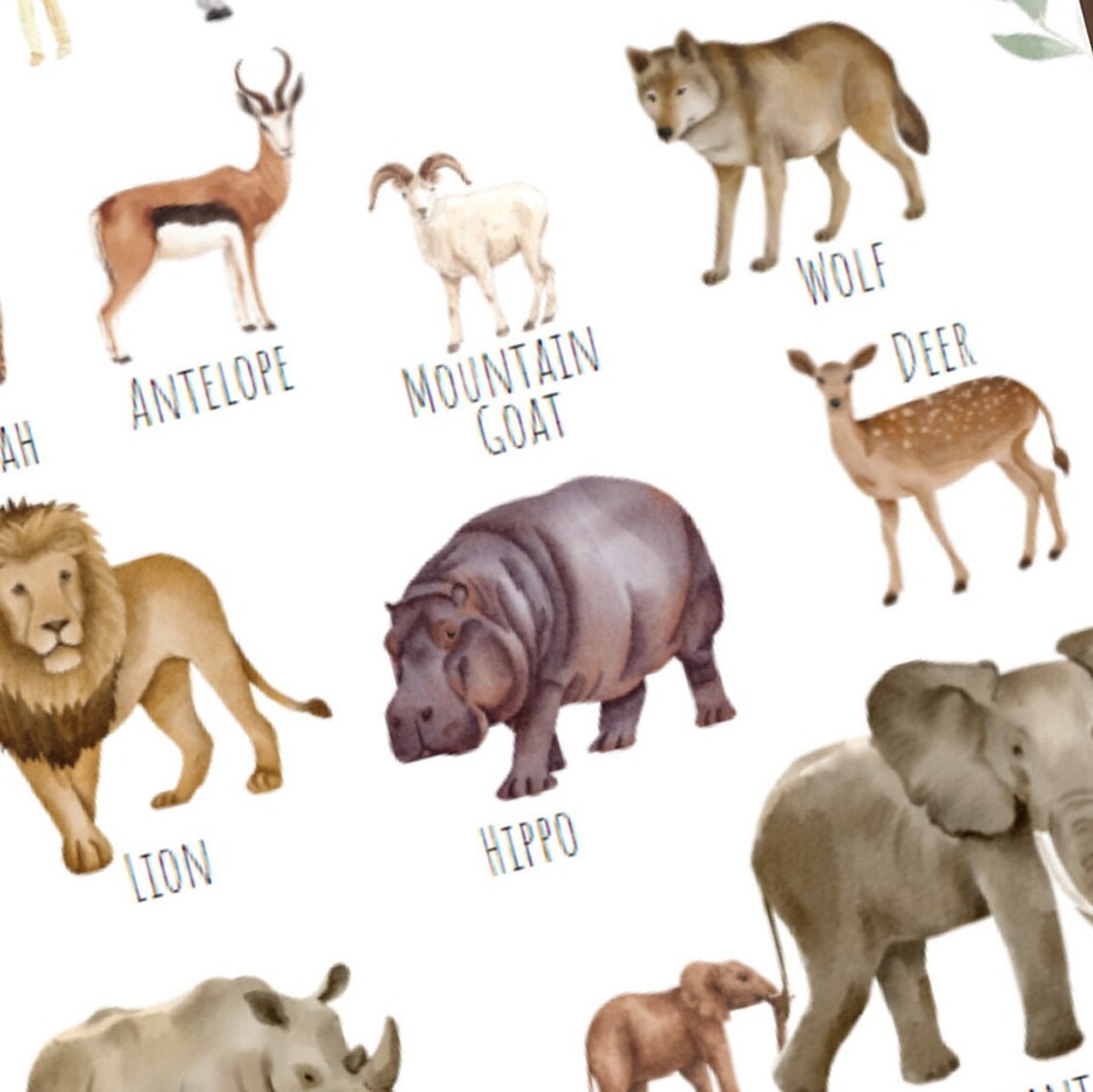 In The Wild Animal Poster, Unique Wildlife Art Print - Image 2