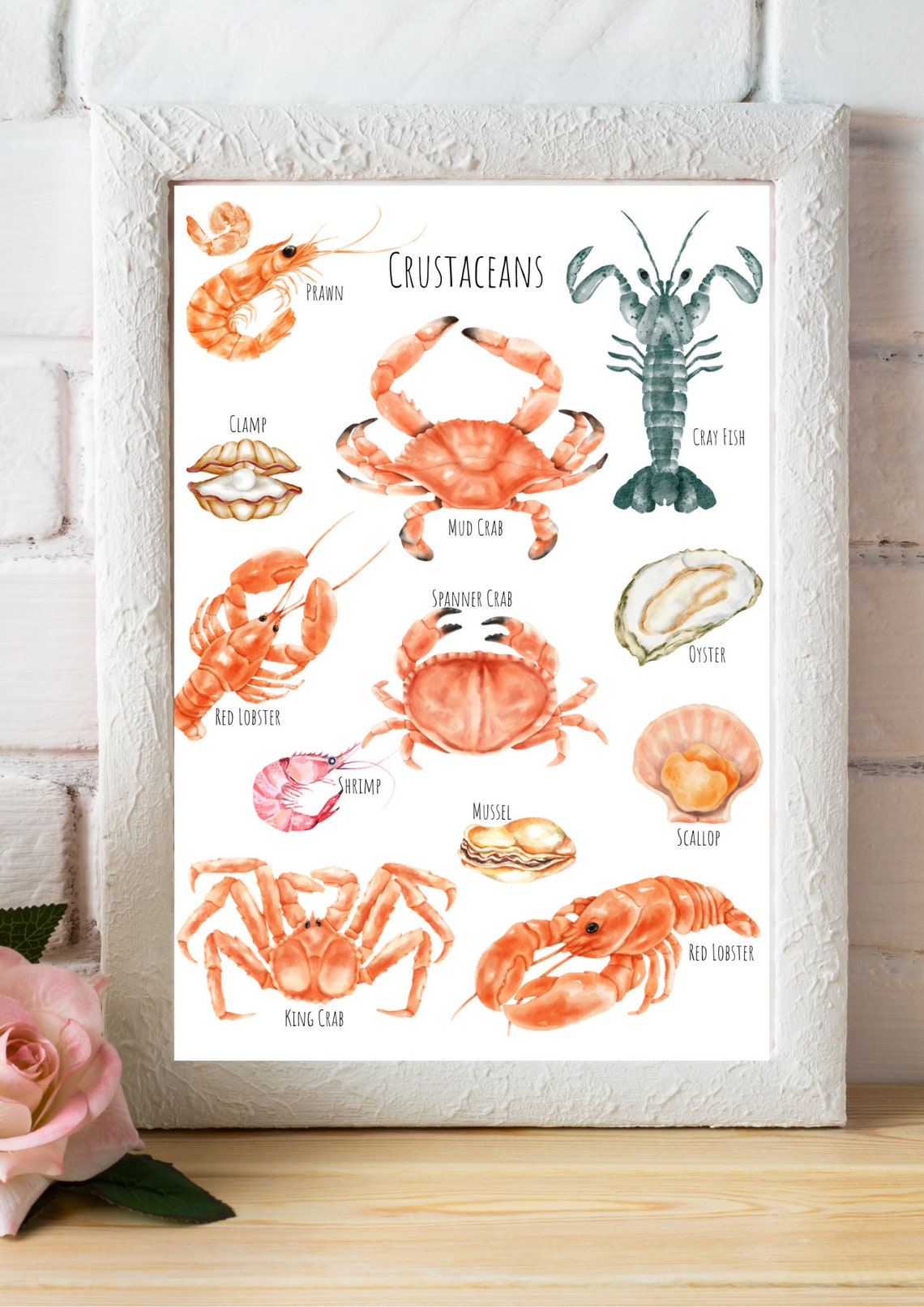 Watercolor Crustaceans Chart Crab Lobster Shrimp Oyster Art Poster - Image 6