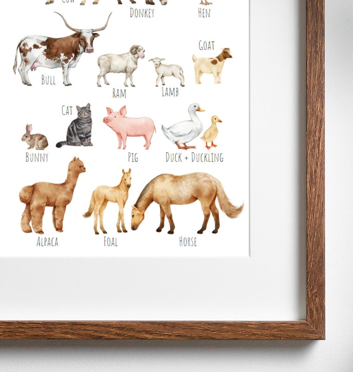Farm Animals Poster, Beautiful Farmyard Animal Selection - Image 3