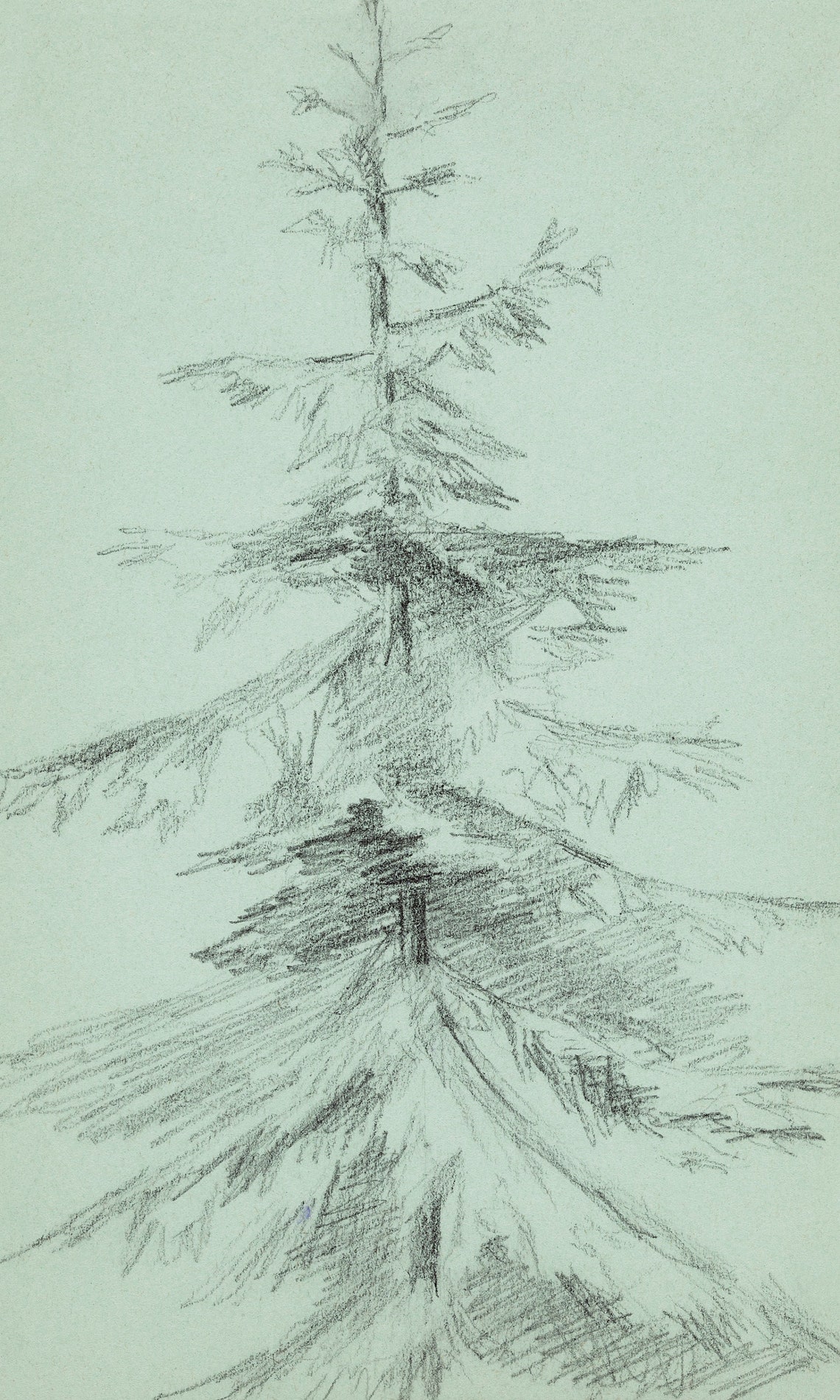 Evergreen Tree Charcoal Sketch Minimalist Vintage Botanical Art Print - Image 2