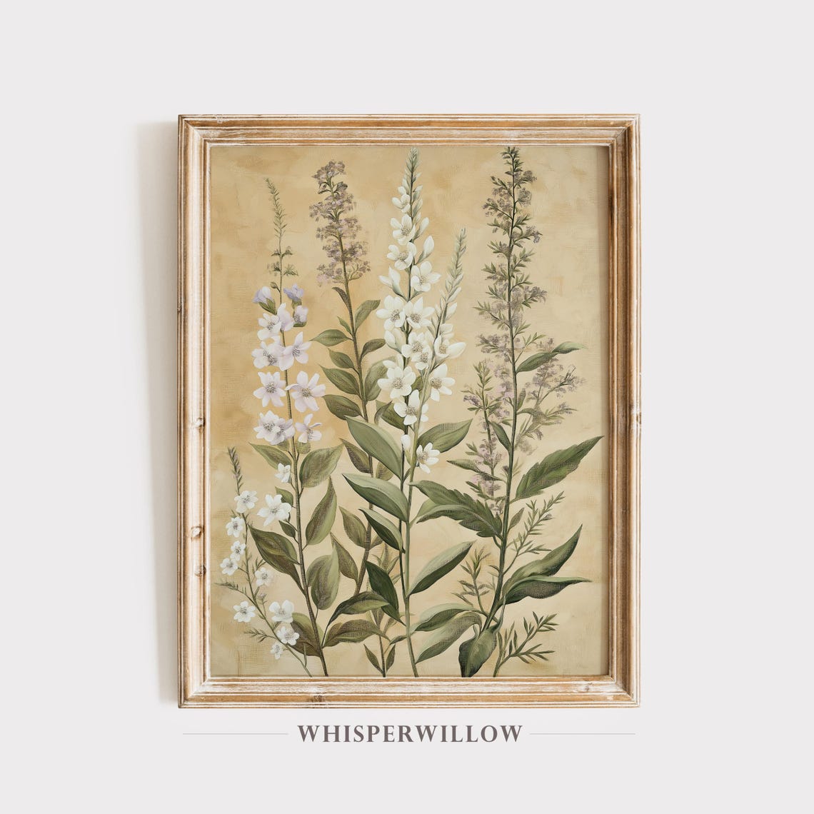 White Wildflower Botanical Illustration on Aged Paper Poster