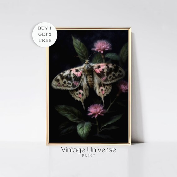 Giant Pink and Black Moth on Blossoms in Dark Botanical Art Print