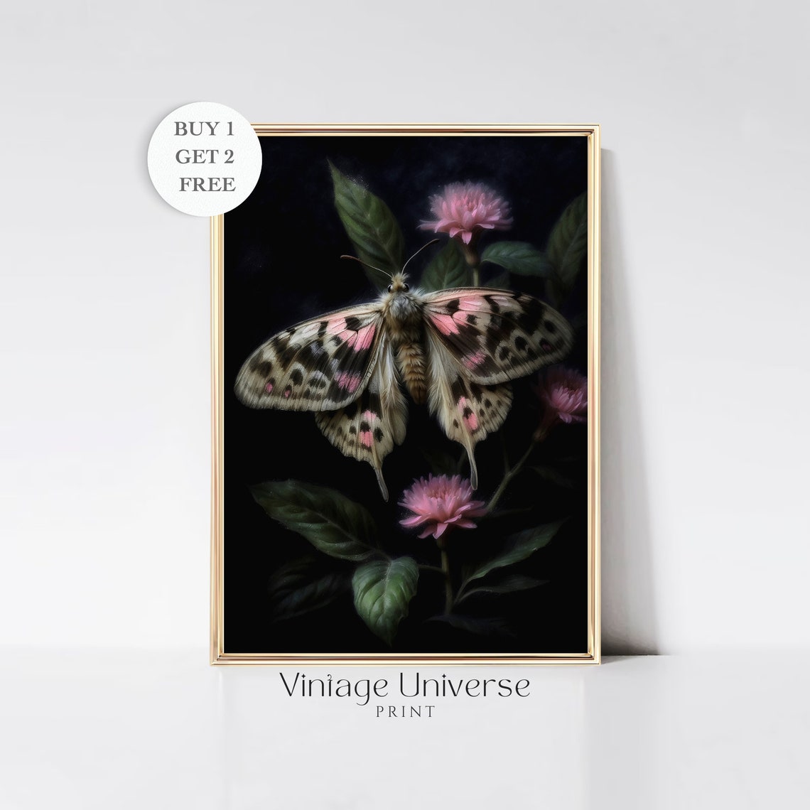 Giant Pink and Black Moth on Blossoms in Dark Botanical Art Print