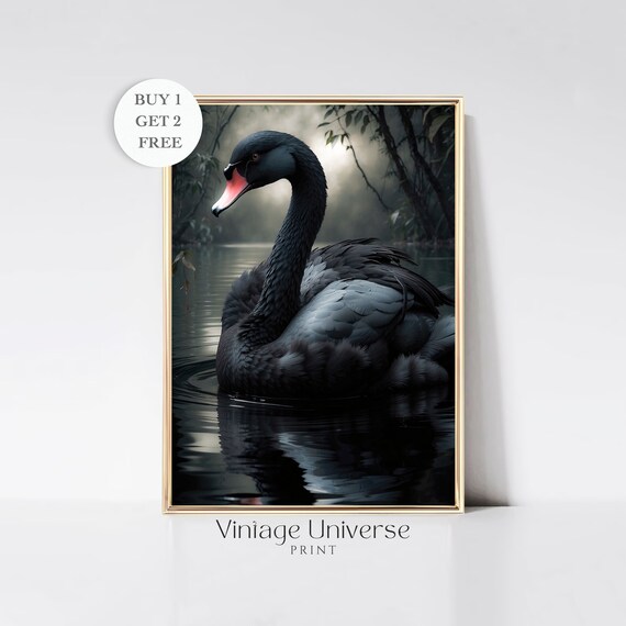 Black Swan Painting Vintage Swan Print Black Lake Swan Print Dark Pond Painting Dark Moody Bird Print Dark Academia Wall Art